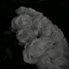 zhanna_24078