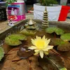 hungnguyen4892457954945