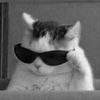 asdfkirafdsa