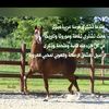 salemalmyne