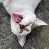 kkkdgaf