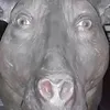 nmkaejhdx