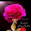 user840616059056