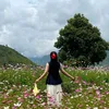 Tiểu Ngưuu