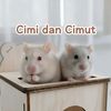 cimut.si.hamster