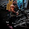 bull_coach