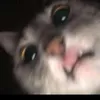 delapanbelas0000