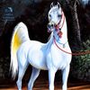 bader_608