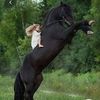 sara.queen4173