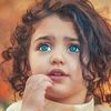 shirazahmed8830