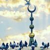 user75216297504860