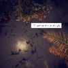 shab_l