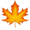 x_xlight_oficial