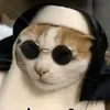 ai_kkaa