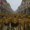 daveylondon95