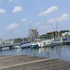 gazmendshehi10