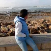 touibazidi