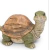 turtlelife23