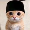 nafisilham6