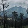 sudayajnr