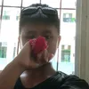 rv_559