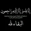 user4439212067008