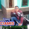 indinsyarifuddin