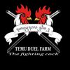 temu_duel_farm