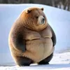 freddy_72_