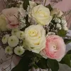 karimabouzid503