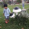 dopt1