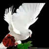 chama_official80