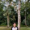 cenderawasih._