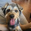 mr.studley_moore