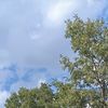 enes1905_f6048
