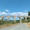 loculi