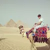 saadseba713