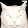 zzzarrrra.8433