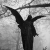 sepultrafawn