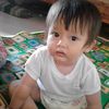 apel21010