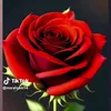 abcd1122335544