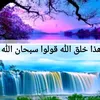 a123_al_machol_456z