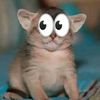 fernando_4348