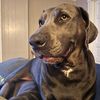 puckingrufus56