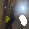 xeviex24