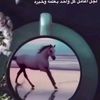 user8795476557944