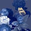 nelamcwilliam5