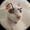 limionxi