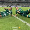 quinalha1