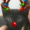 wlllcomee